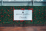 CLEOBELLA x SPIRITUAL GANGSTER LAUNCH PARTY