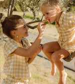 Joie Sunskissed Check Ribbon Bow Accessories Cleobella