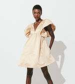 Nahla Mini Dress | Pale Champagne Dresses Cleobella
