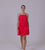 Thandi Mini Dress | Poppy Red