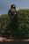 Daphne Skirt | Venezia Ebony Bottoms Cleobella 